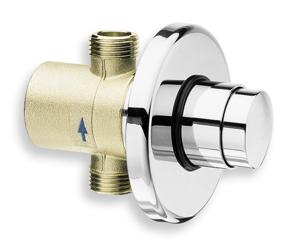 Shower flush valves