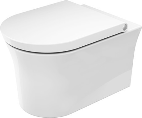 Wall mounted toilet