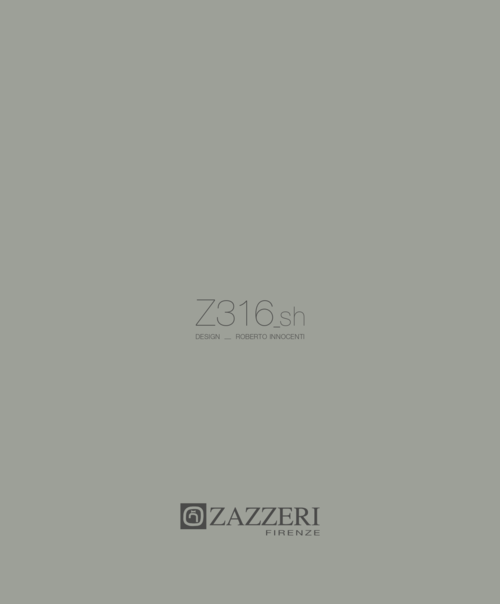 Z316_sh